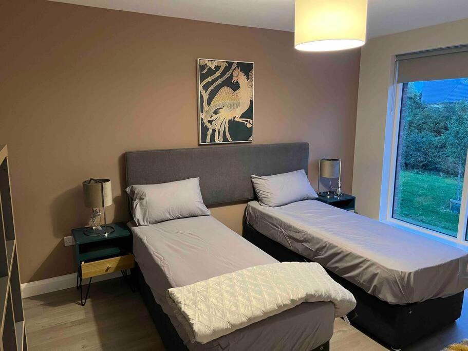 3 Bed Rooms Vip Family House Dublin Dış mekan fotoğraf